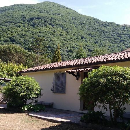 Agriturismo Collevento Trecchina Exterior foto