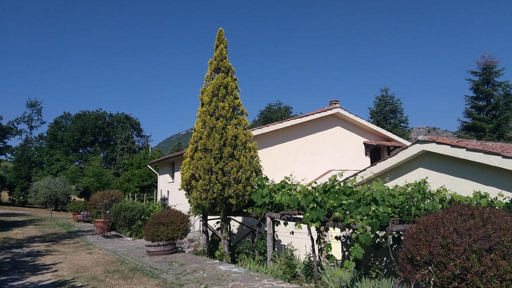 Agriturismo Collevento Trecchina Exterior foto